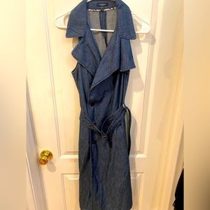 Burberry Denim Dress